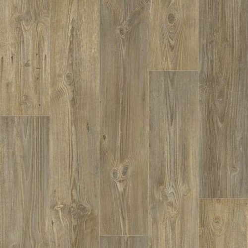 77631M Canadian Pine Canadian Pine