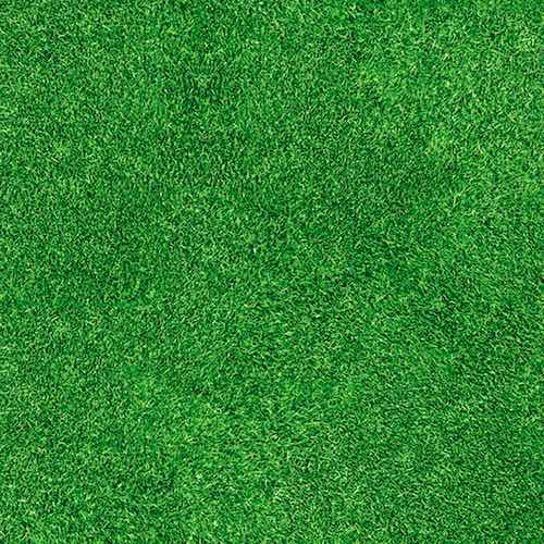  Print Grass