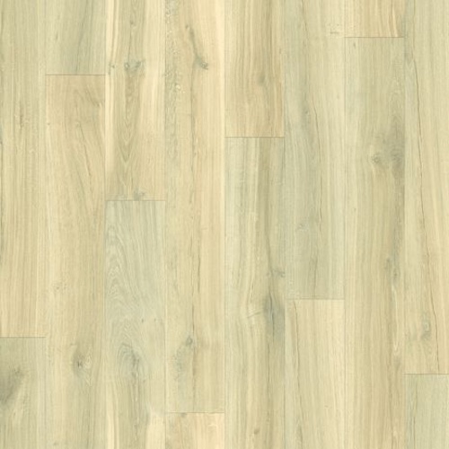 77971L Middle Oak Middle Oak