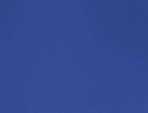 4849 flat Blue Roi