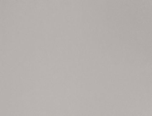 4893 flat Gris Clair