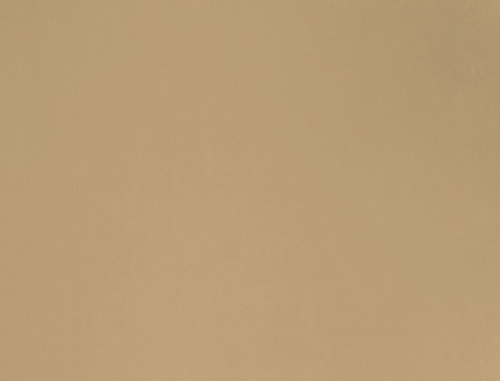 4962 flat Beige
