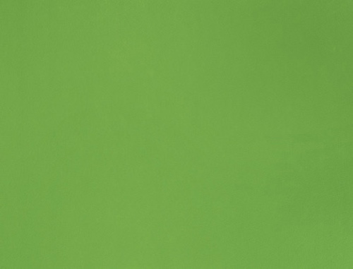 4966 flat Vert Pre
