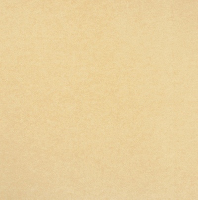 1310 Rev Expo Beige