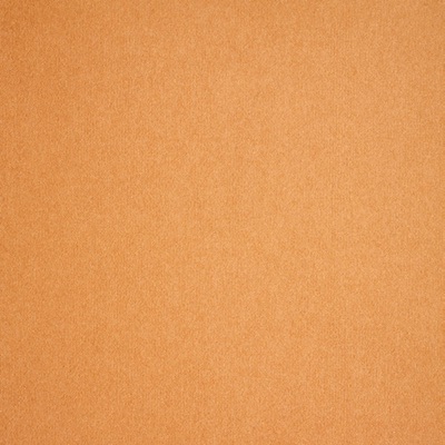 1370 Rev Expo Orange