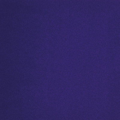 1385 Rev Expo Violet