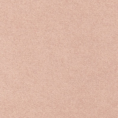 1310 Salsa + folie Beige